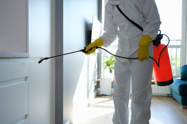 Best Mold Cleaning Services  in Corona De Tucson, AZ