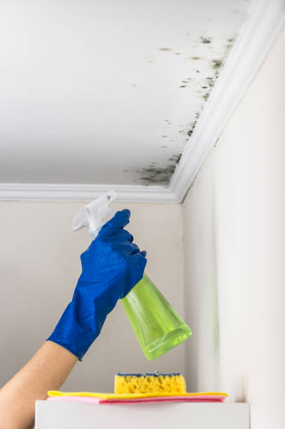Best Mold Testing  in Corona De Tucson, AZ